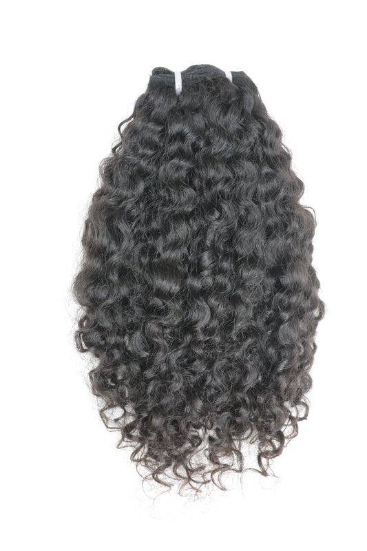 Burmese Curly